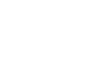 The Tax Institute